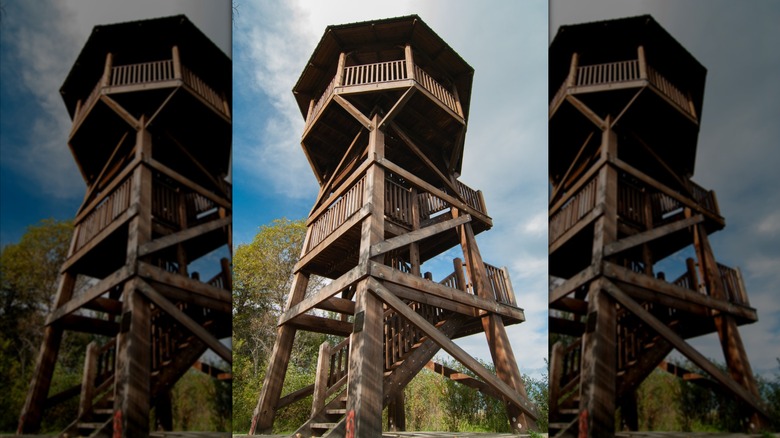 Observation tower at Creston Valley Wildlife Management Area