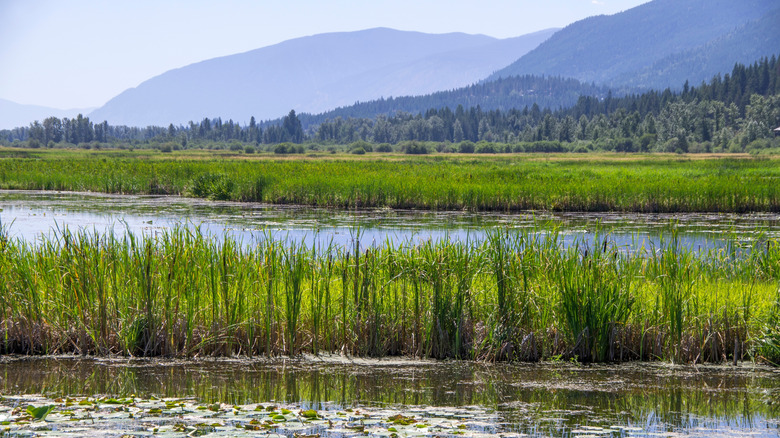 Lake in Creston Valley Wildlife Management Area, with mountains in the background