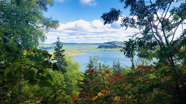 Lake Superior views on a clear day from shrubbery on Nipigon Trail