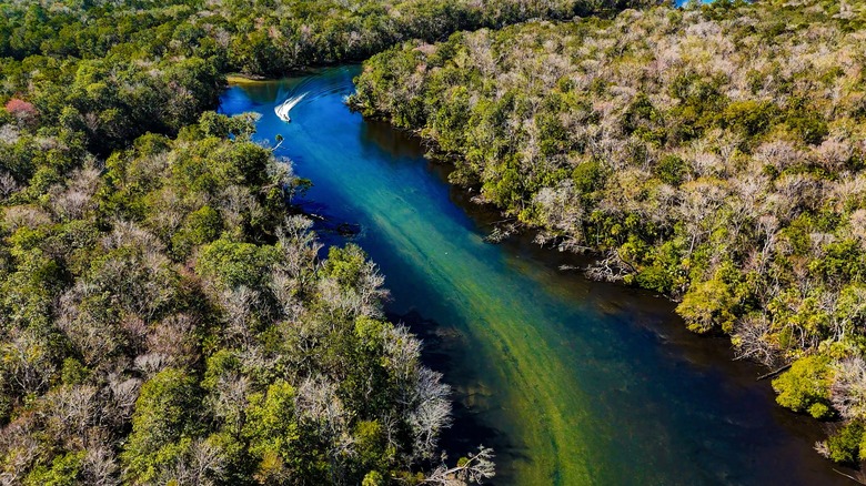 The waterways around Homosassa Springs