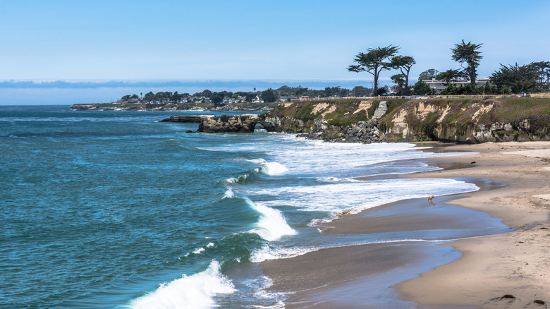 Surfers in Santa Cruz, California