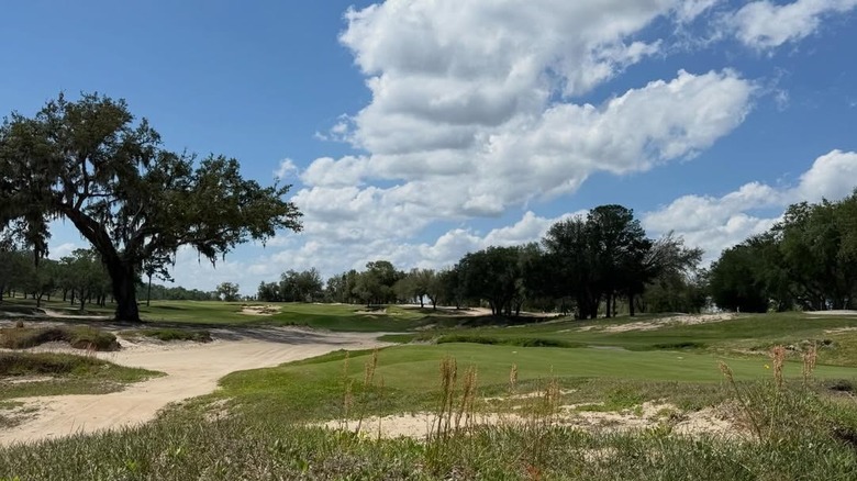 Trees and sand view at Cabot Citrus Farms Karoo golf course in Florida