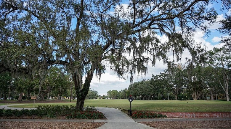 large Spanish moss tree overhanging sidewalk pathway leading to Winter Park Golf Course in Florida