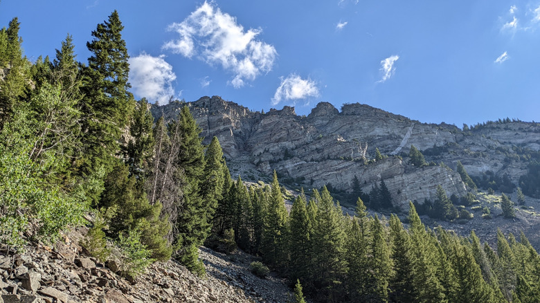 Forest and mountains in Lost Creek State Park in Anaconda, Montana