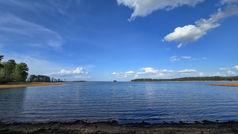 Mistletoe State Park in Appling, Georgia