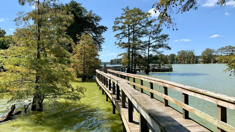Boardwalk trail at Plum Bayou Mounds Archeological State Park, Scott, Arkansas