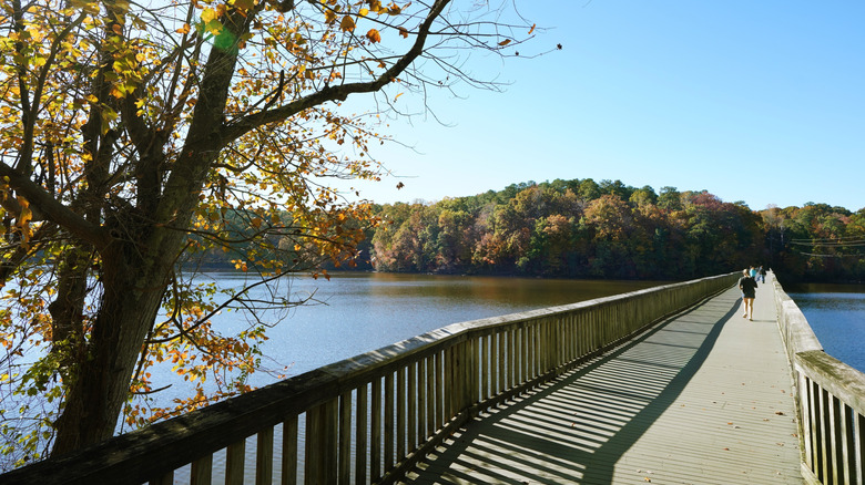 Boardwalk path surrounded by a lake and greenery in Lake Johnson Park in Raleigh, North Carolina