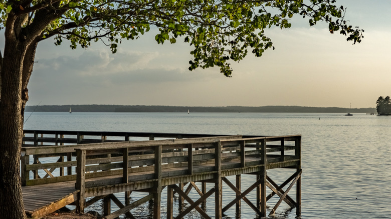 Image of a dock sitting over Lake Murray next to a tree nearby Lexington, South Carolina.