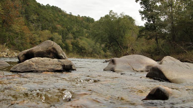 The Cossatot River running through Cossatot River State Park in Arkansas