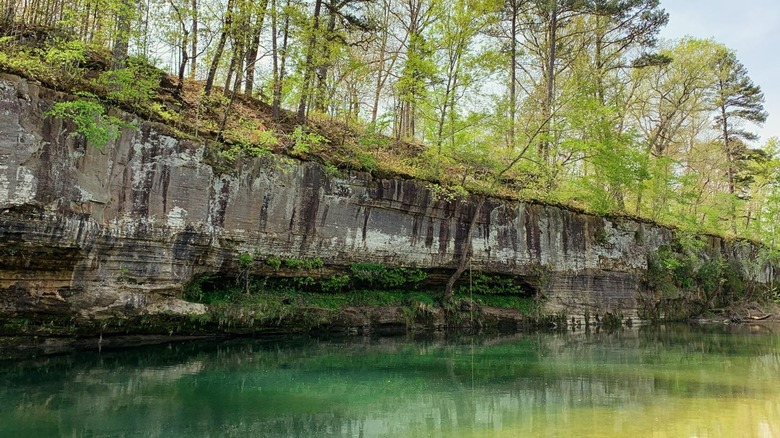 Trees on a riverbank in Missouri