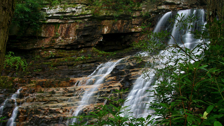 Margarette Falls cascades 60 feet down a rocky wall, surrounded by small plants and shrubs