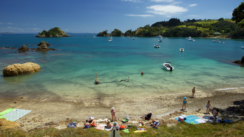 Woody Bay Beach on Rakino Island in New Zealand