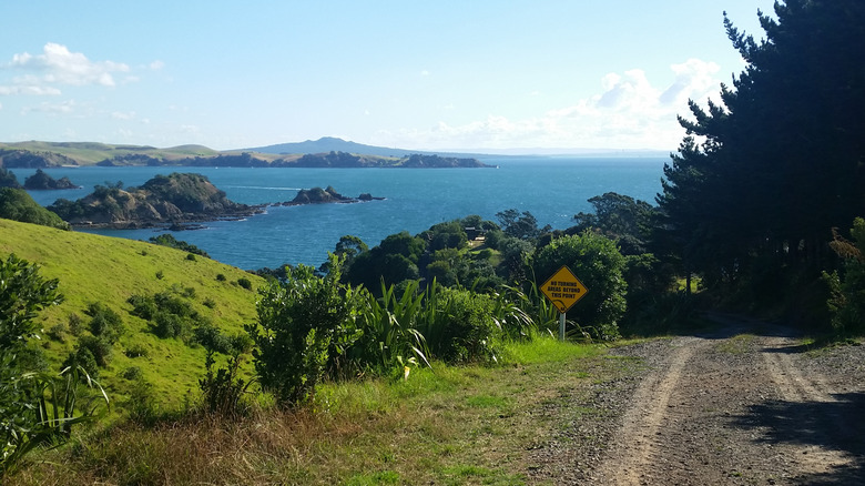 Road on Rakino Island in New Zealand