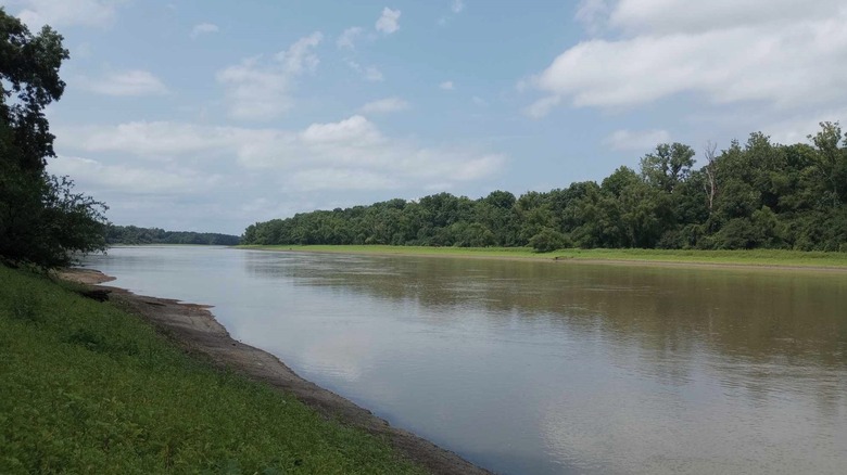Peaceful waterfront surrounded by greenery at Mississippi River State Park, Arkansas