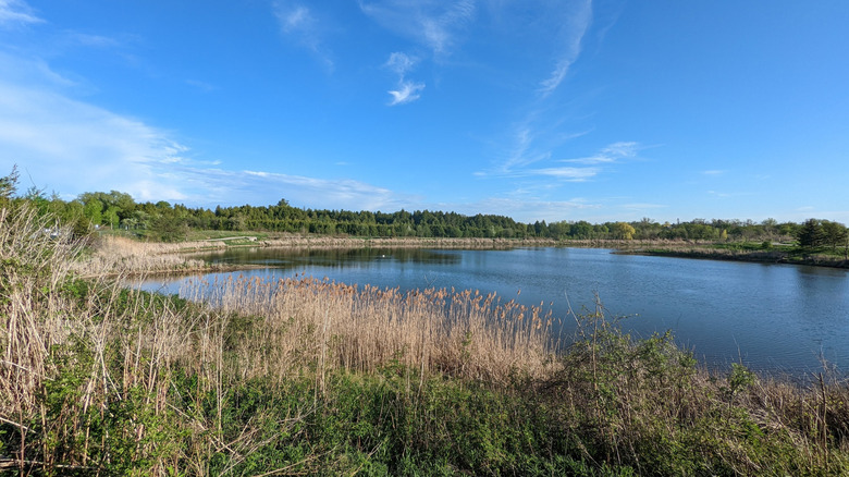 Countryside scenery around Whitchurch-Stouffville, Canada