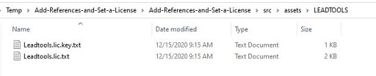 LEADTOOLS directory with license files