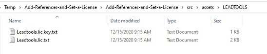 LEADTOOLS directory with license files