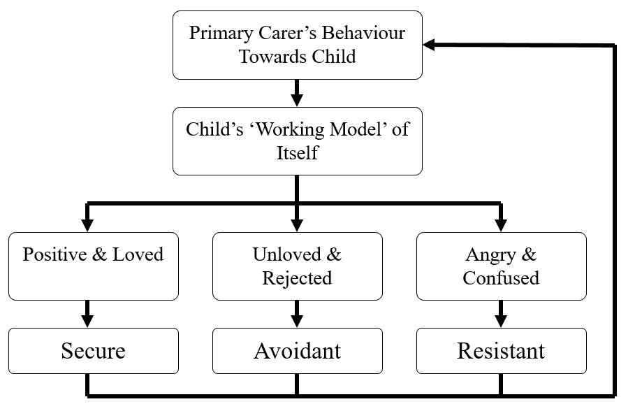 Mary Ainsworth: Strange Situation Experiment 4 attachment styles