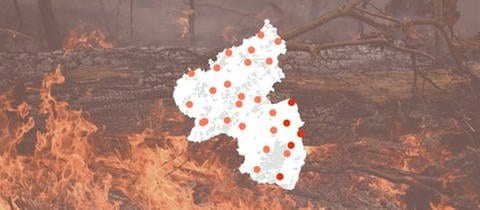 Eine Karte von Rheinland-Pfalz zeigt, wie hoch die Waldbrandgefahr aktuell an den Messstationen des Deutschen Wetterdienstes ist.