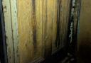 Scratches on the door to the cellar that Biscuit died in after at least 10 days of suffering and starvation