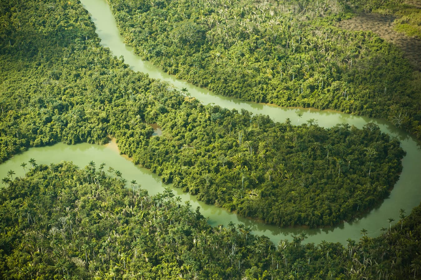 rio encontrado na selva de Belize