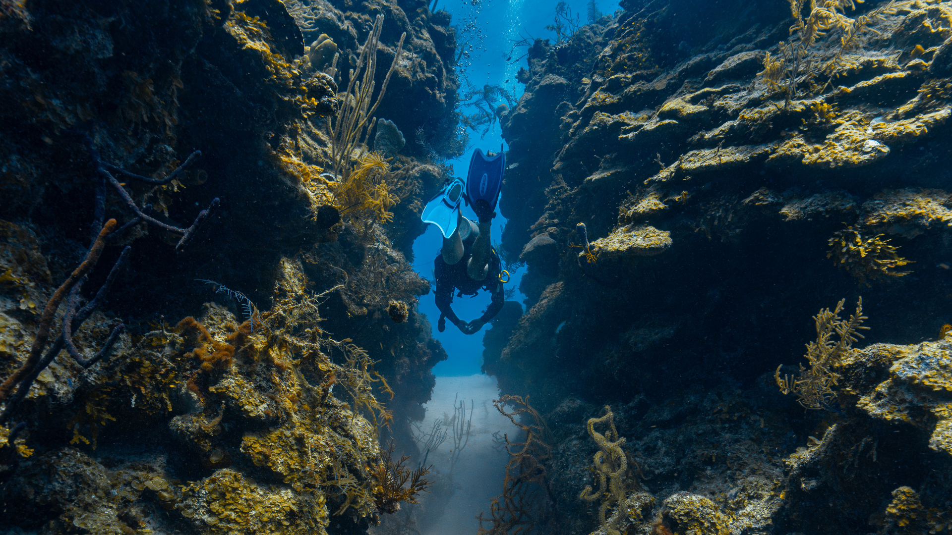 mergulho em Belize
