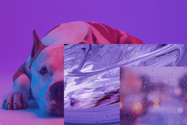 Chill & Mellow