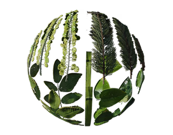 Leaf Atlas