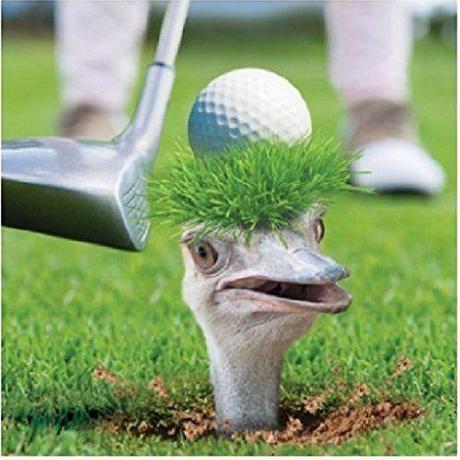 ostrichgolf