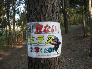 DSCN3975
