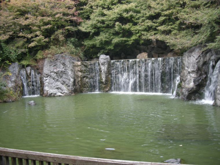 DSCN4612