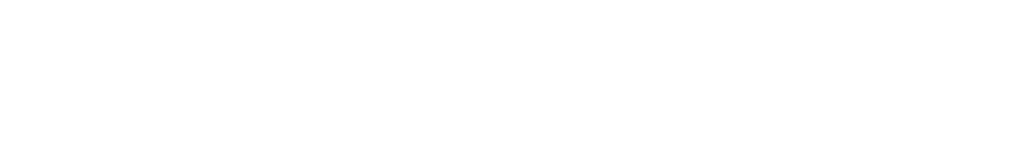 BLUEVAULT-logo