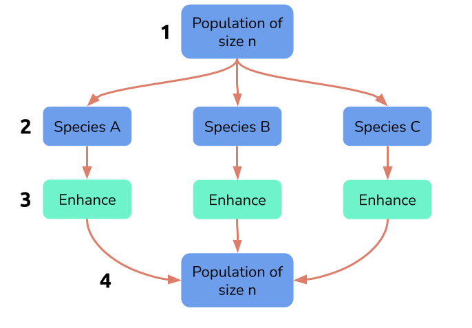 speciation