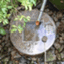 alpinix alpinix