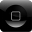 applelgoog applelgoog