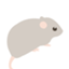 asyst asyst