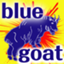 bluegoat511545 bluegoat511545