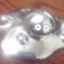 dmutaguchi dmutaguchi