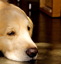 kado0428 kado0428