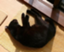 shiro_96 shiro_96