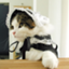 tomono-blog tomono-blog