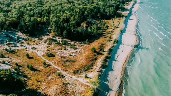 Aerial view of Pinery Provincial Park’s dune trails and tree-lined shoreline meeting the turquoise waters of Lake Huron on a sunny day.