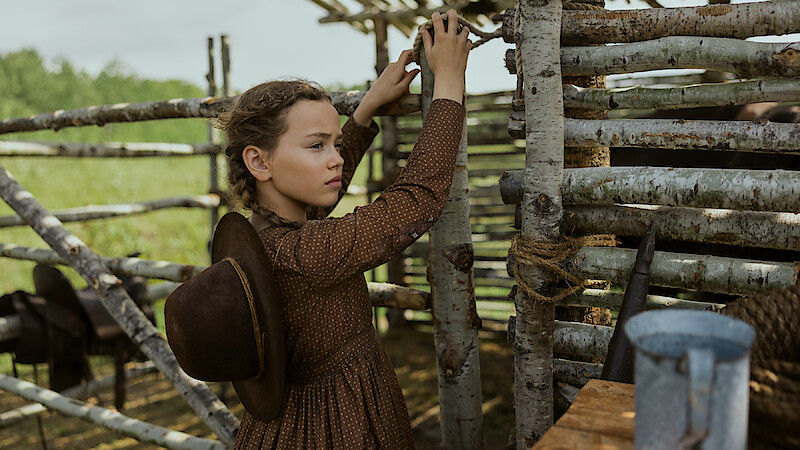 Young girl in a brown dress with a hat on her back stands by a rustic wooden fence outdoors, adjusting the wood. Green fields and sunlight are visible in the background, evoking a rural, historical farm setting.