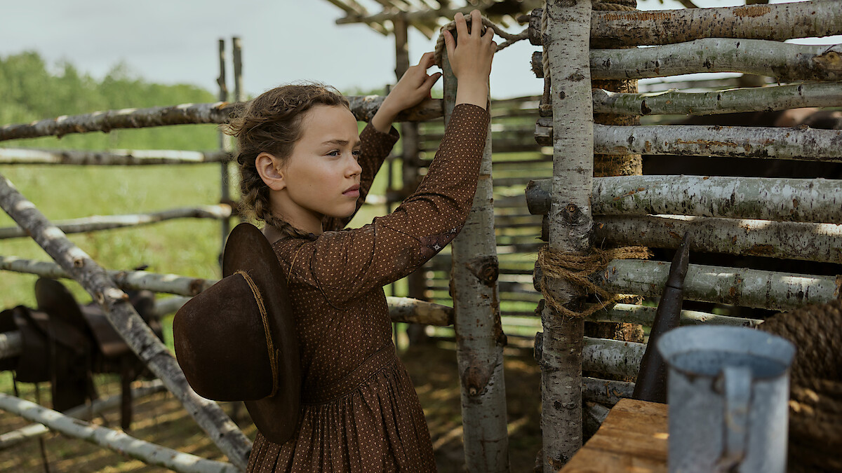 Young girl in a brown dress with a hat on her back stands by a rustic wooden fence outdoors, adjusting the wood. Green fields and sunlight are visible in the background, evoking a rural, historical farm setting.
