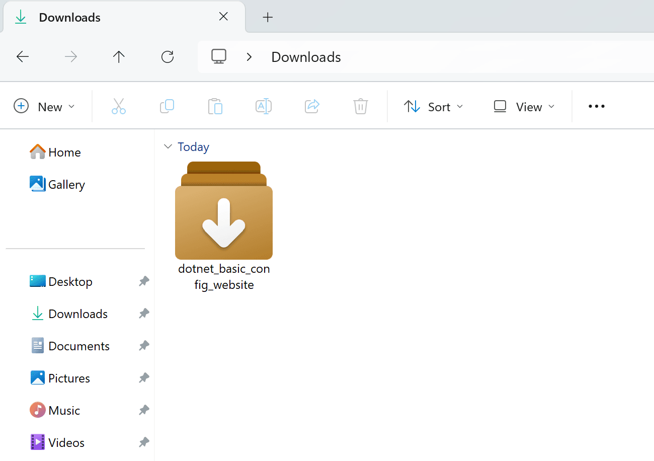 Dotnet configuration file in download folder