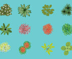12 Top Trees