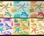 Beach Patterns
