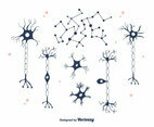 Neuron Vector