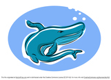 Free Whale Cartoon Vector