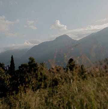 mountain landscape with cloudy sky and foreground trees. mountain landscape with cloudy sky and foreground trees.